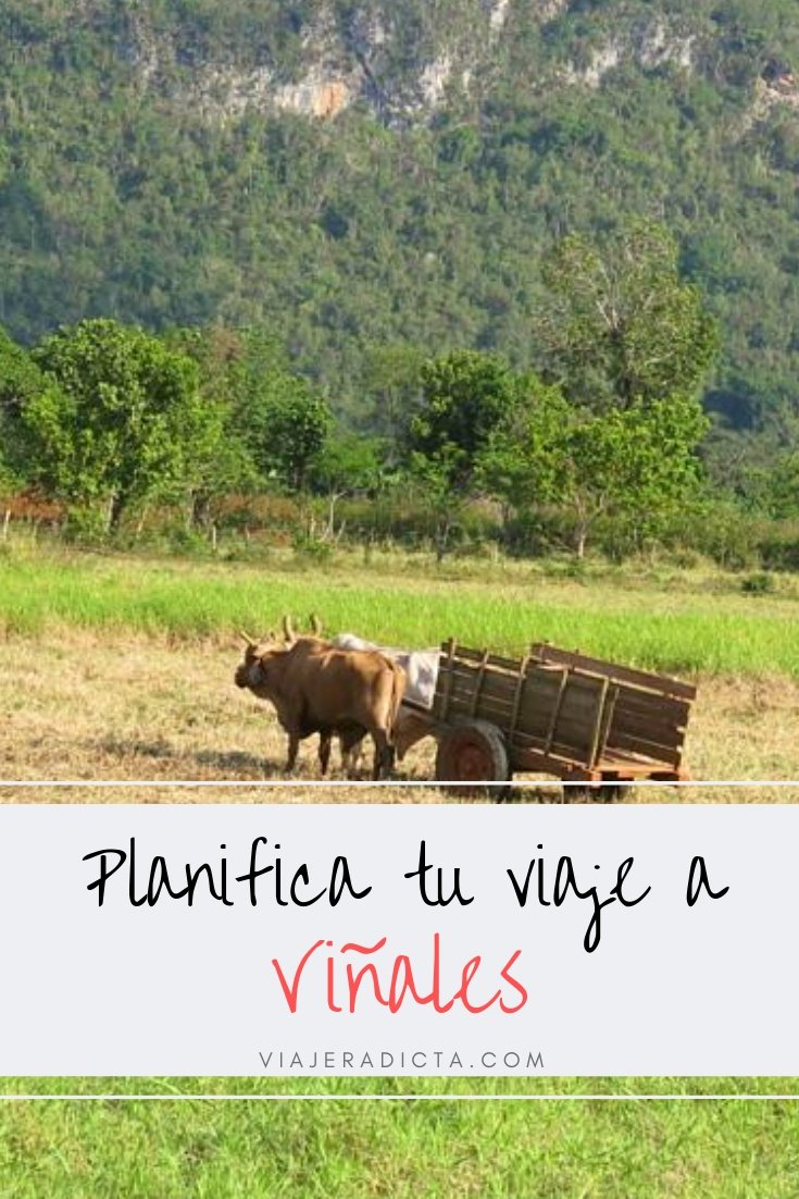 Te vas de viaje al Valle de Viñales? Revisa esta con guia con todos los datos que necesitas saber para planificar tu viaje. #planificacion #viaje #vinales #cuba