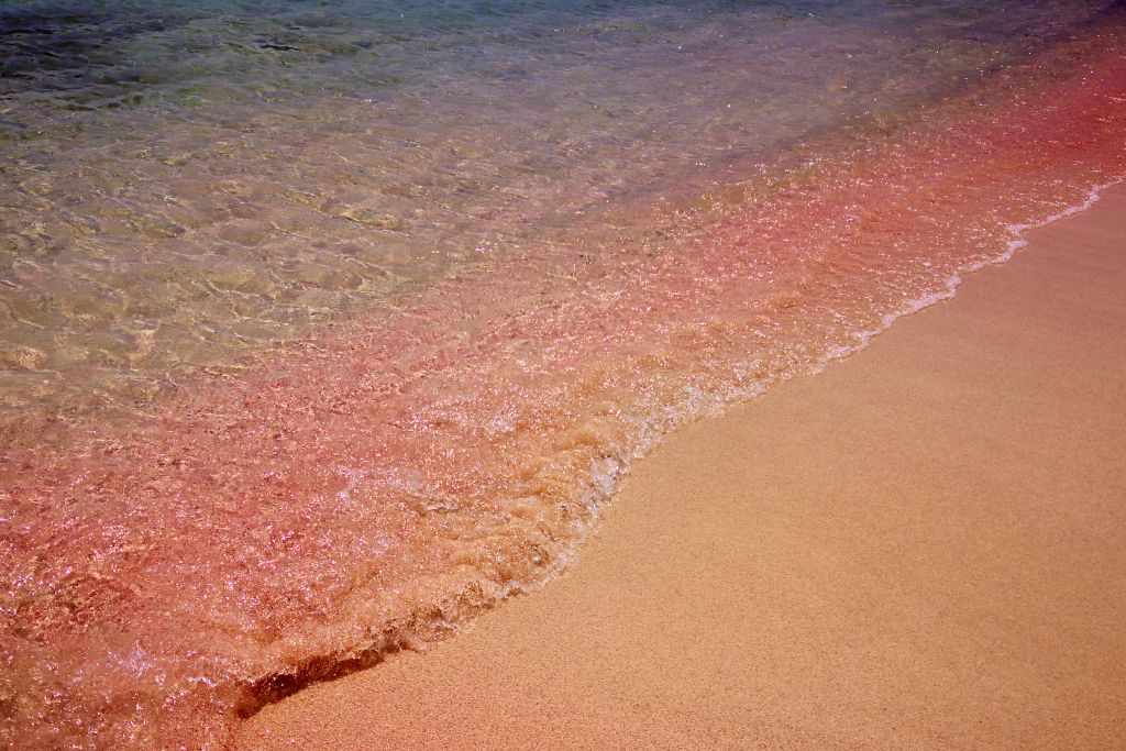 playa rosa creta